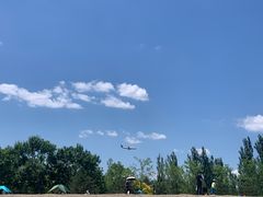 -东郊湿地公园