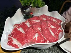 -杨肥肠小火锅(花园店)