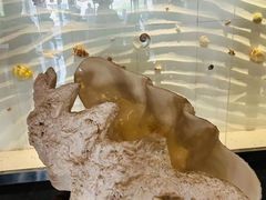 -青岛贝壳博物馆