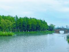 -三垟湿地