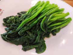 白灼广东菜心-花舍·新派粤菜·西餐·下午茶(亚运村·鸟巢店)