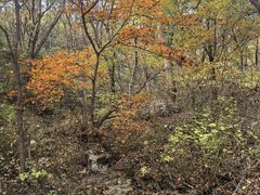 -玉渡山自然风景区