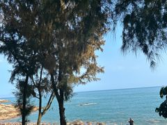 -广东惠东海龟国家级自然保护区