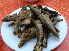-阿马土菜馆