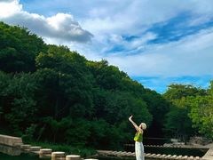 -龙道沟景区