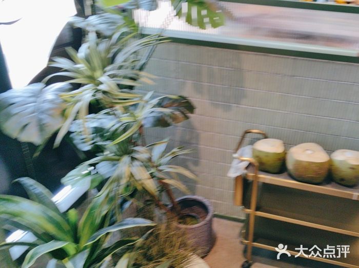 椰小鸡·琼州糟粕醋(美兰缤纷城店)图片