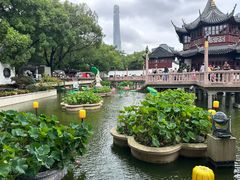 -南翔馒头店(豫园店)