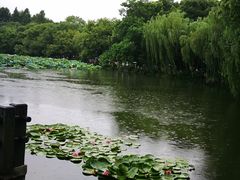 -西湖游船