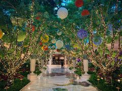 -拉斯维加斯永利酒店