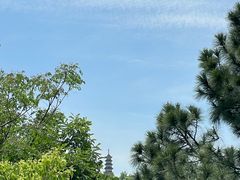 -苏州上方山国家森林公园