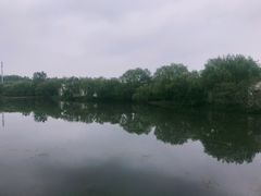 景点-溱湖国家湿地公园