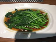-康莉养生熏蒸会所
