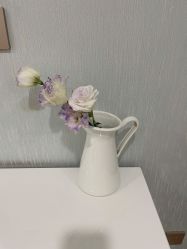 -YESIDO椰岛美容