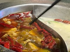 -麻田会 ·鲜活现烹·牛蛙火锅(珠江新城维家思广场店)
