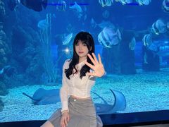 -台州海洋世界
