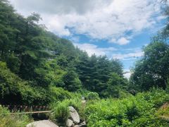 -苍山感通索道