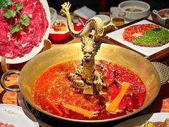 -小龙翻大江文化火锅(宽窄店)