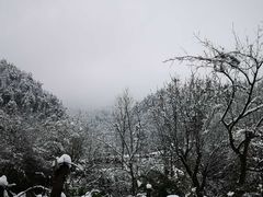 -秦岭风景区