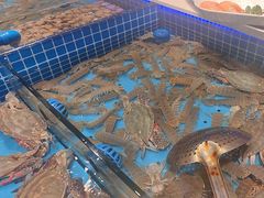 -渔港甄宴·海鲜·地标烟台菜(金沙滩店)