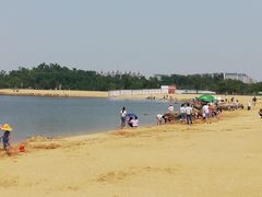 -瑶湖郊野森林公园