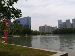 -天鹅湖体育公园