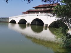 -大湾区中央湿地公园