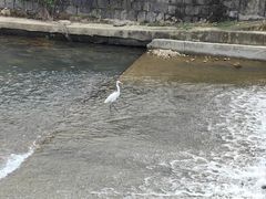 -四明湖