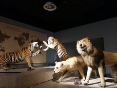 -上海大自然野生昆虫馆(东方明珠·爬宠昆虫探索中心)