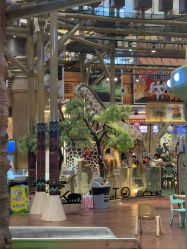 -卡通尼·Safari非洲探索乐园·生日会(金桥国际商业广场店)