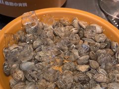 -龍歌自助小火锅(李沧丽达店)