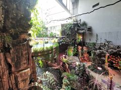 -正佳雨林生态植物园