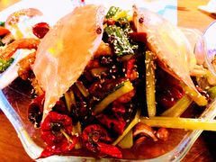 -胡桃里音乐酒馆(石家庄店)