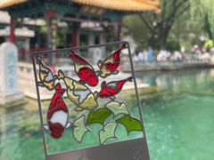 -趵突泉景区