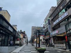 -宝健路步行街(Pedestrian Shopping Street)