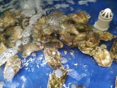 -雅逸居海鲜小厨