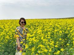 -乌兰布统草原