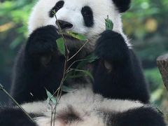 -米村拌饭(金象城店)