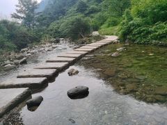 -龙窝子