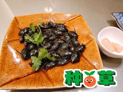 -沙龙酒家