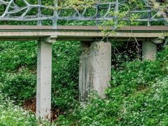 -老山国家森林公园