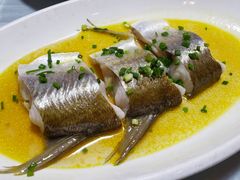 -上海市保健医疗中心