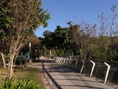 -大亚湾红树林城市湿地公园