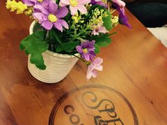 SPR&nbsp;COFFEE(东大街罗马假日风情街)-SPR COFFEE(兴正元店)