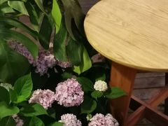 -懒鱼时光馆(沙坪坝店)