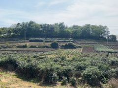 -南北湖风景区