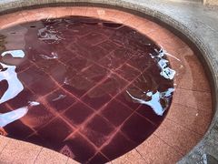 -品泉餐厅·大盆鱼·走地鸡