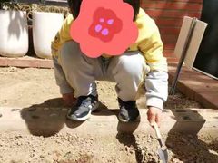 -凡恩格林幼儿园(中灿苑校区)