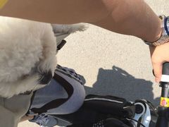 -呈贡滇池生态湿地公园