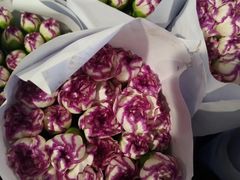 -三圣花乡旅游区