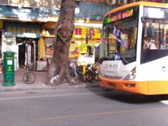-非凡肠粉皇(西华路店)